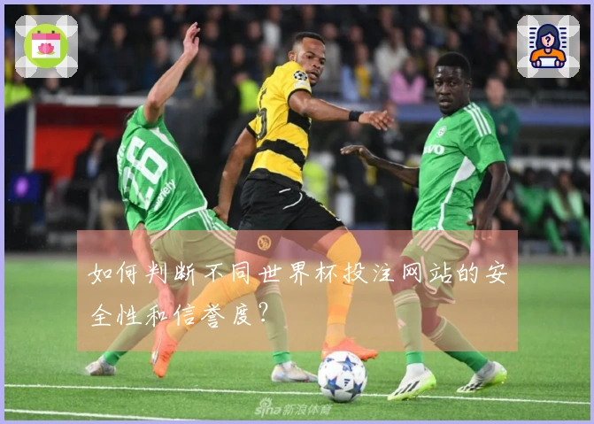 如何判断不同世界杯投注网站的安全性和信誉度？